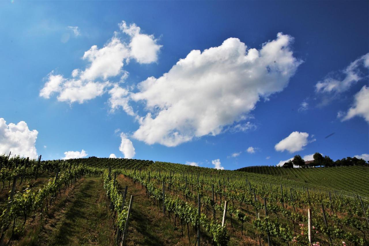 Weingut - Ferienhaus Sonja Rohrbacher Gamlitz Exterior foto