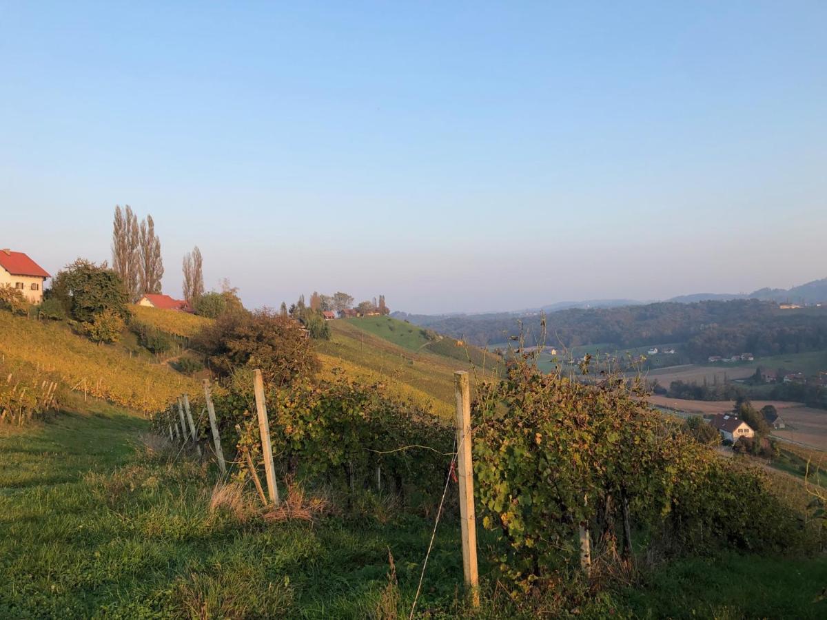 Weingut - Ferienhaus Sonja Rohrbacher Gamlitz Exterior foto