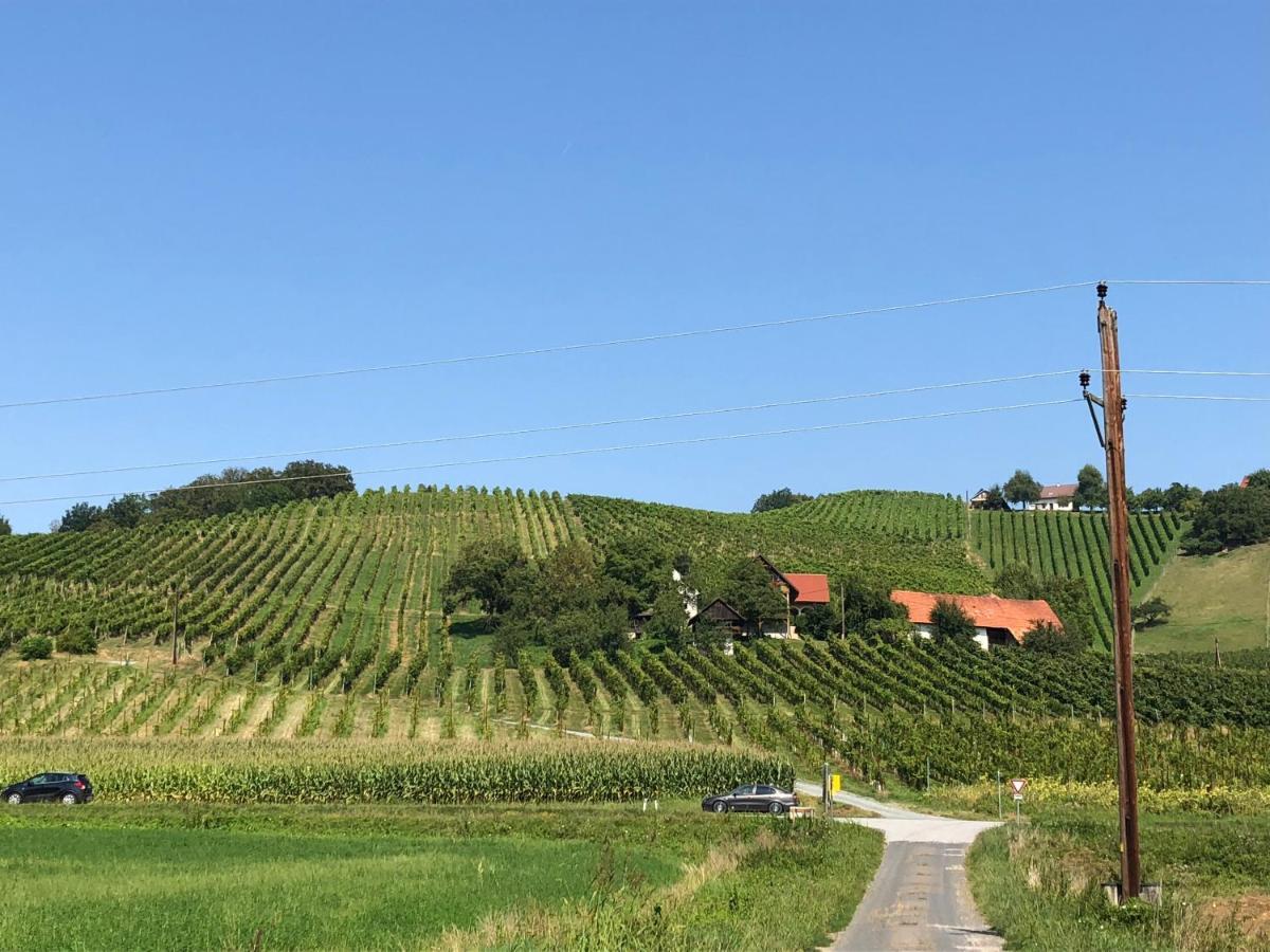 Weingut - Ferienhaus Sonja Rohrbacher Gamlitz Exterior foto